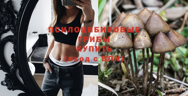 мдпв Белая Холуница